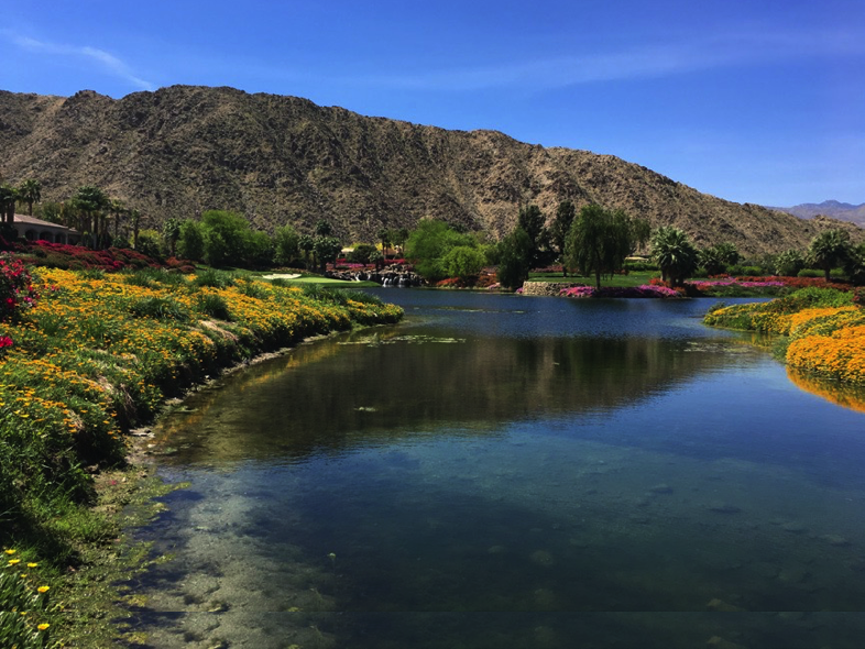 GolfClubLakeRestoration