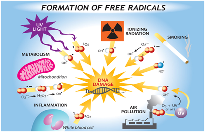 Radical-Formation